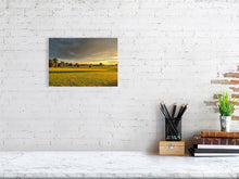 Load image into Gallery viewer, 7675557-2453552