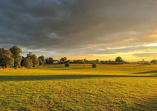 Load image into Gallery viewer, 7675557