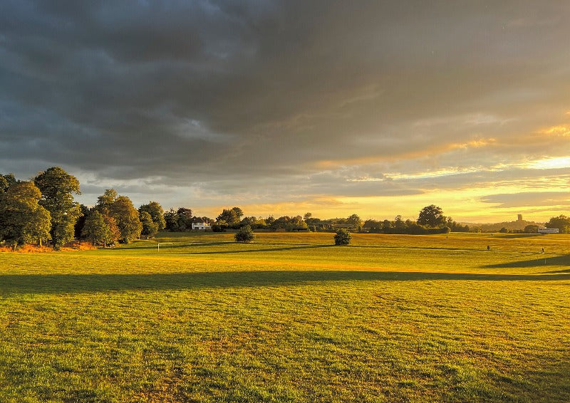 Guildford's Stoke Park at Sunset.